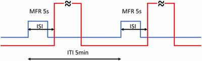 How Swift Is Cry-Mediated Magnetoreception? Conditioning in an American Cockroach Shows Sub-second Response